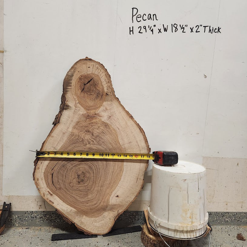 Front view of Pecan cross section with length and width measurement, sourced in DFW
