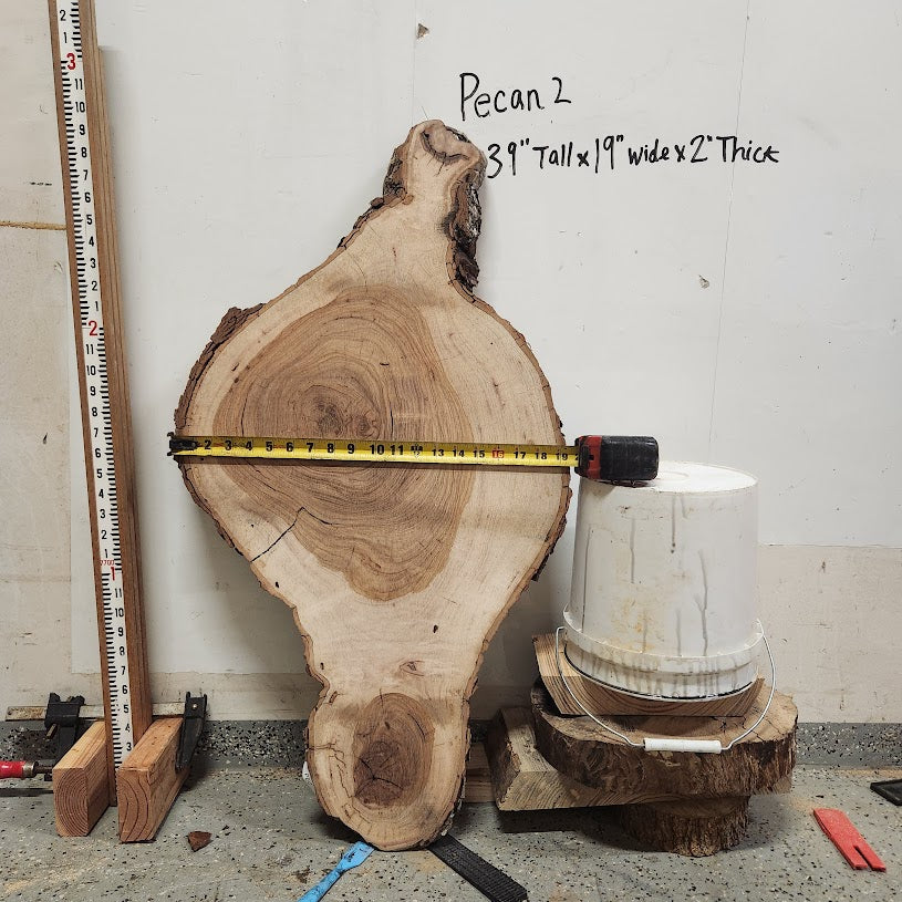 Front view of Pecan cross section with length and width measurement, sourced in DFW
