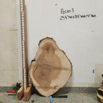 Front view of Pecan cross section with length measurement, sourced in DFW