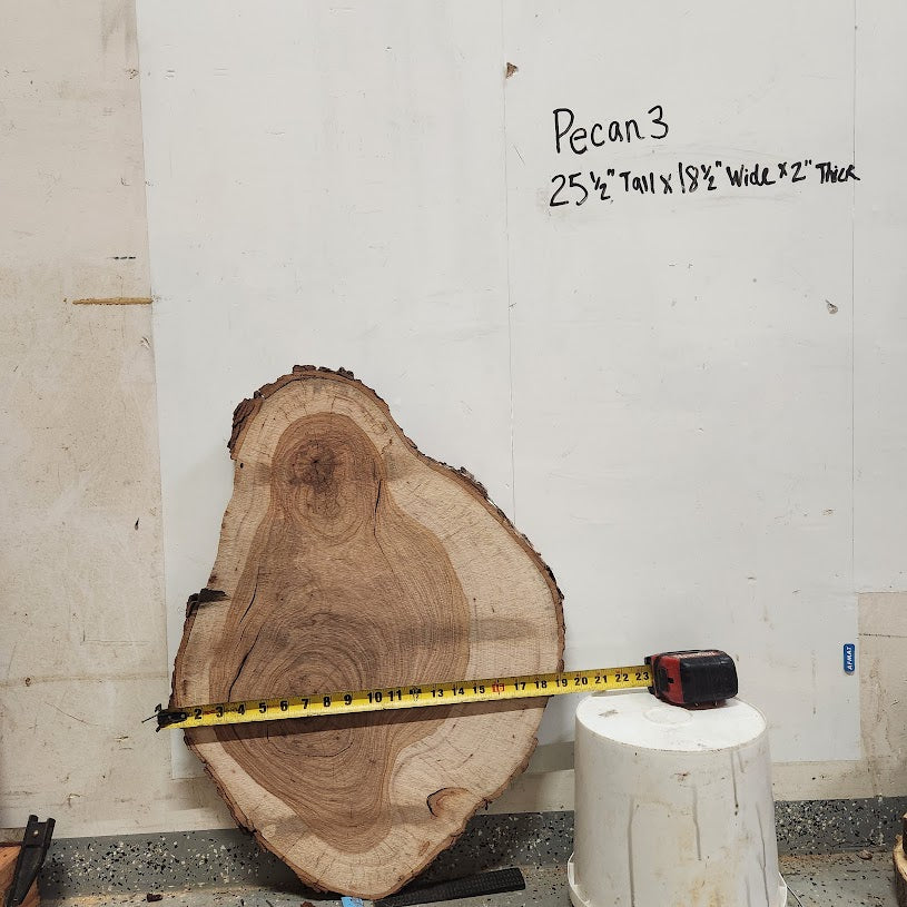 Front view of Pecan cross section with length and width measurement, sourced in DFW