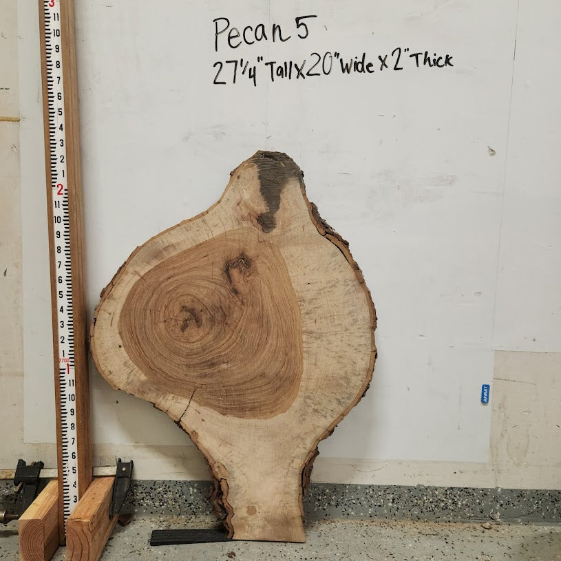 Front view of Pecan cross section with length measurement, sourced in DFW