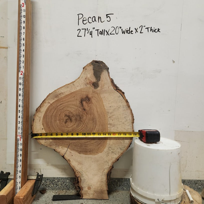Front view of Pecan cross section with length and width measurement, sourced in DFW