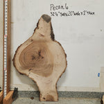 Front view of Pecan cross section with length measurement, sourced in DFW