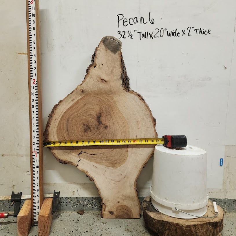 Front view of Pecan cross section with length and width measurement, sourced in DFW
