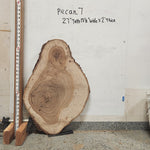 Front view of Pecan cross section with length measurement, sourced in DFW