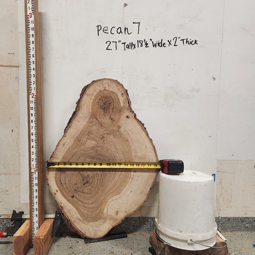 Front view of Pecan cross section with length and width measurement, sourced in DFW
