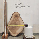 Front view of Pecan cross section with length and width measurement, sourced in DFW