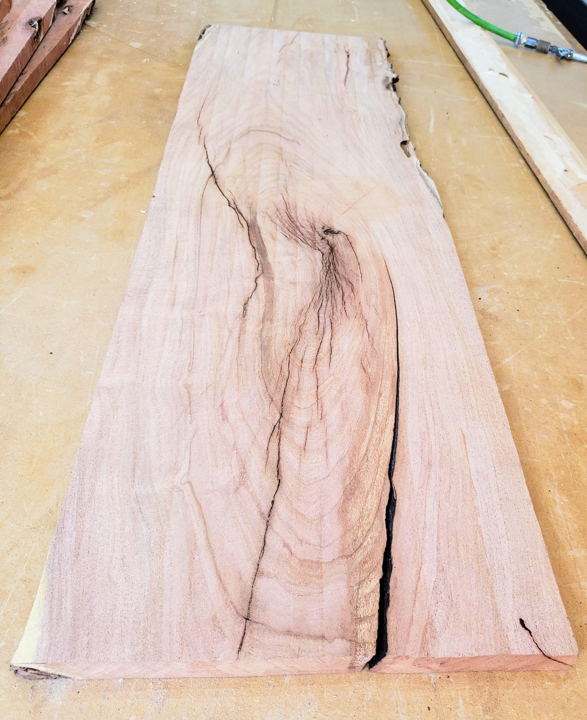 Mesquite