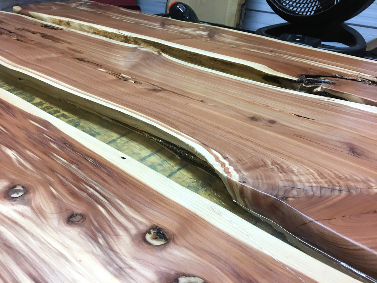 Eastern Red Cedar