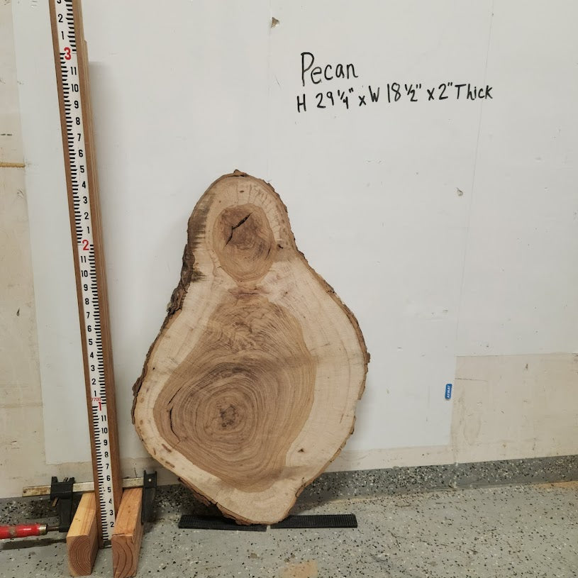 Front view of Pecan cross section with length measurement, sourced in DFW