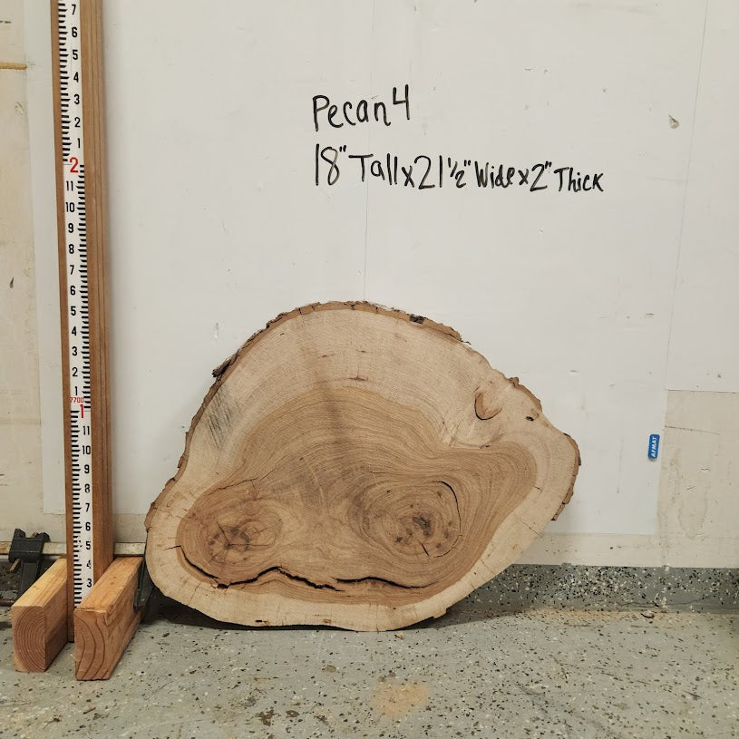 Front view of Pecan cross section with length measurement, sourced in DFW