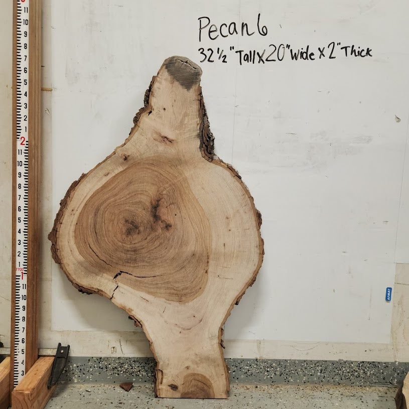 Front view of Pecan cross section with length measurement, sourced in DFW