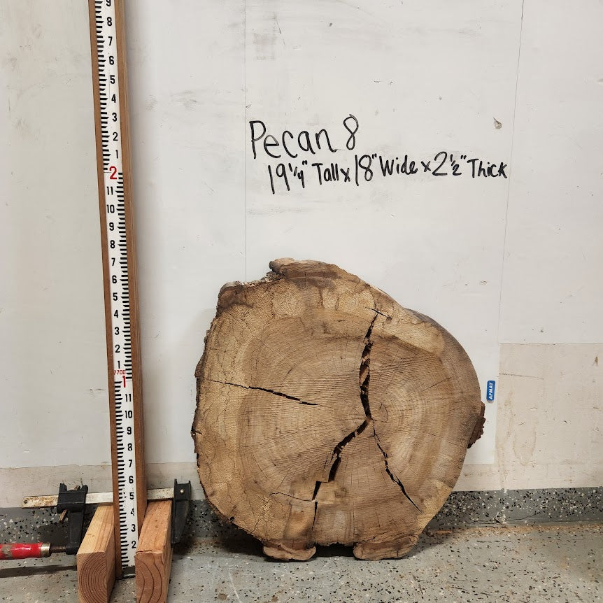 Front view of Pecan cross section with length measurement, sourced in DFW