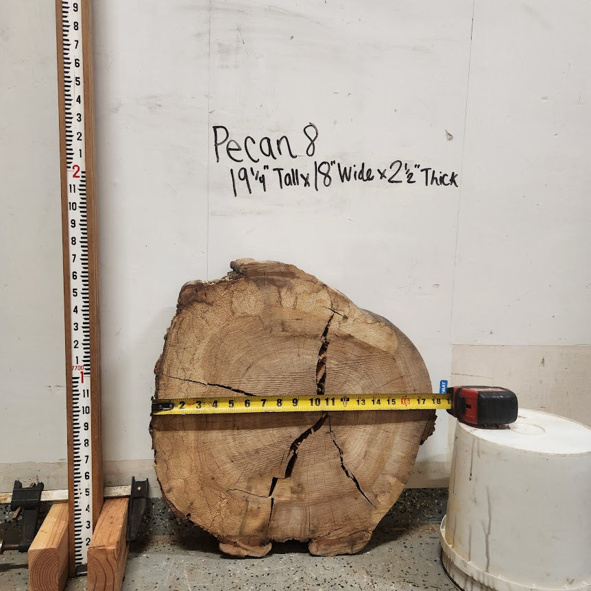 Front view of Pecan cross section with length and width measurement, sourced in DFW