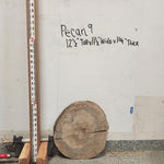 Front view of Pecan cross section with length measurement, sourced in DFW