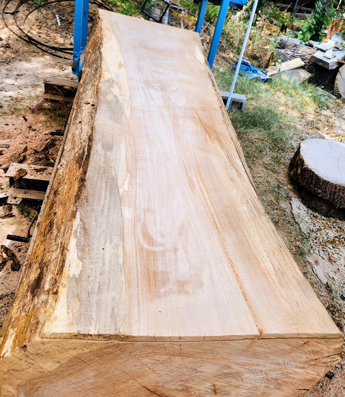 Red Oak